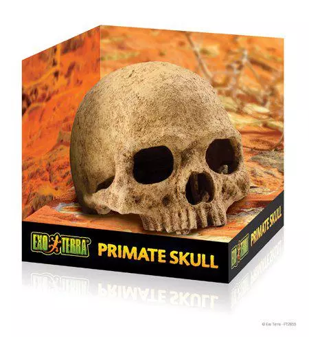 Exoterra Cave Skull .2055