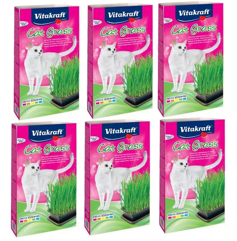 Vitakraft X Cat Grass 120G