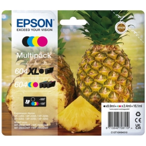 Epson Multipack 604 Bk Xl Cmy