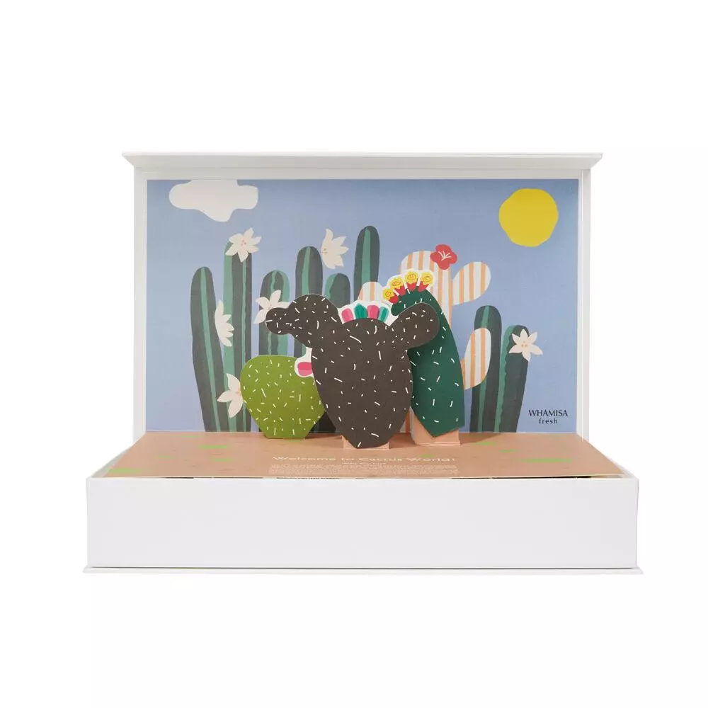 Whamisa Cactus Kit Kaktus Setti