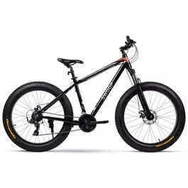 swoop fatbike  adventurer