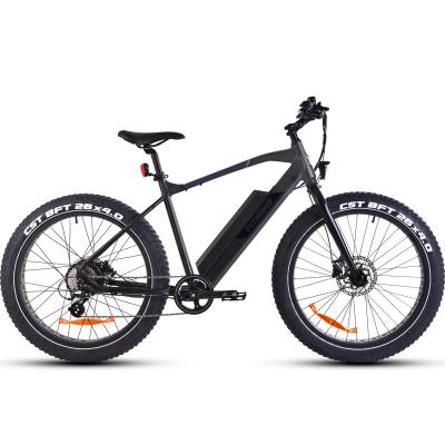 Fitnord Rumble 300 690Wh