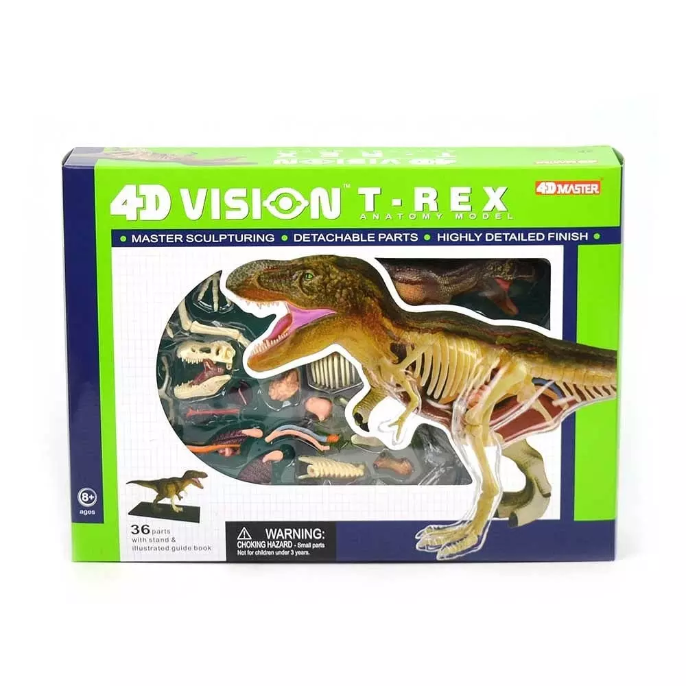 Robetoy Animal Anatomy Dinosaur T-Rex Cm