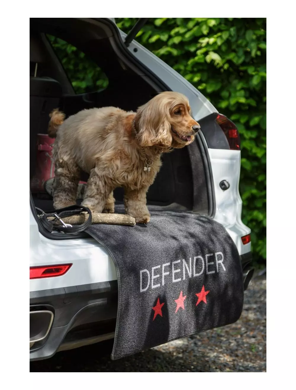 Pet Rebellion Car Defender Carpet Protection