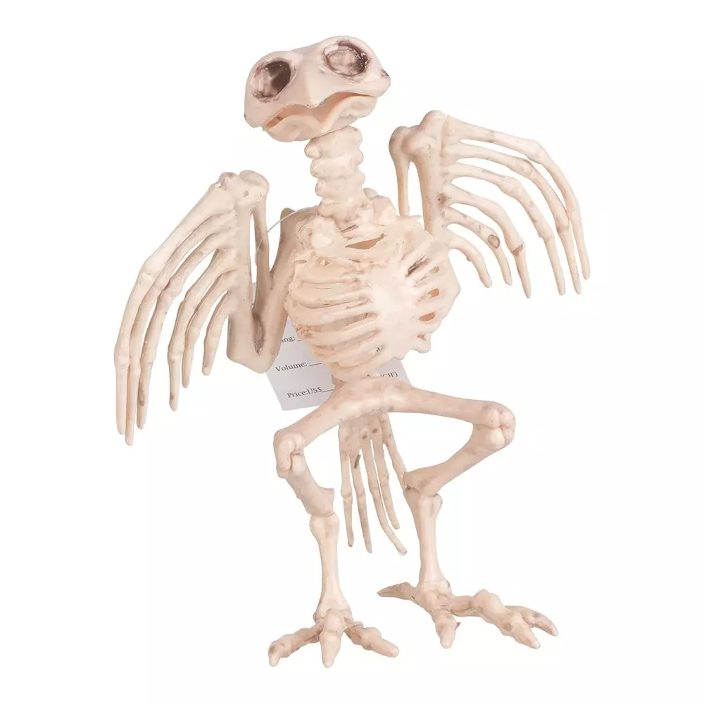 Joker Halloween Skeleton Bird Cm 97060