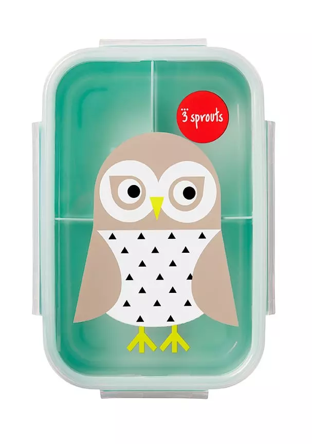 Sprouts Bento Box Mint Owl