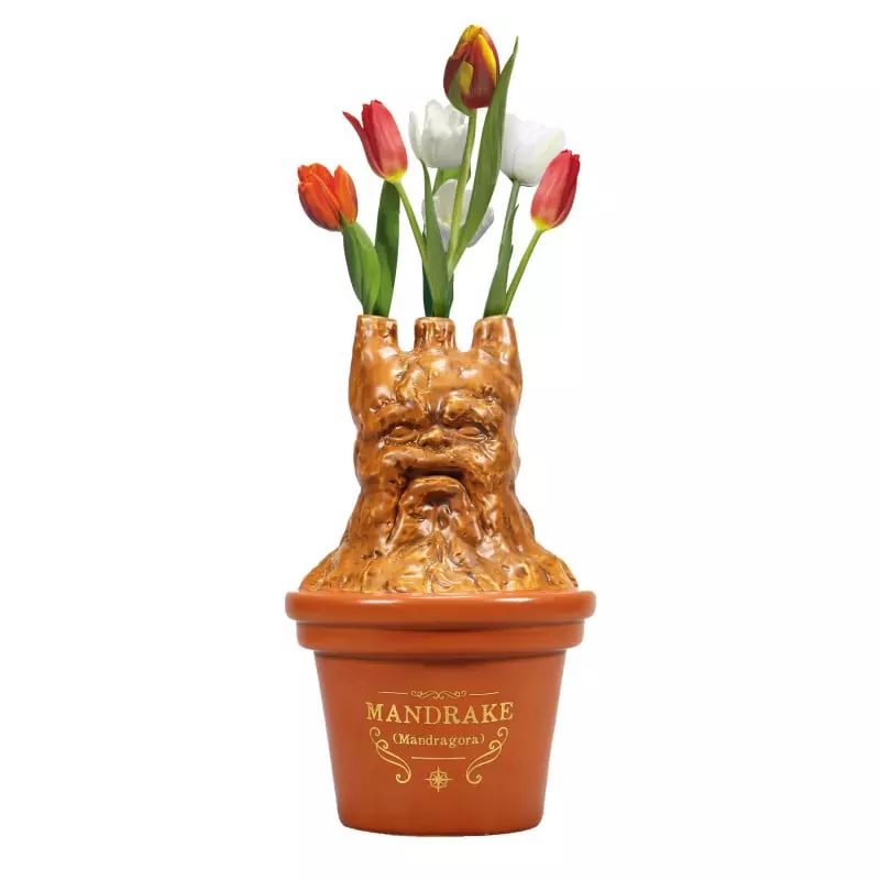 Harry Potter Mandrake Shaped Vase 5261Ttvhp07