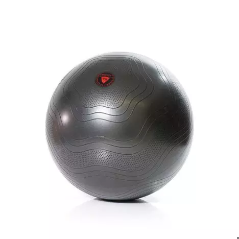 Gymstick Jumppapallo Exercise Ball Cm