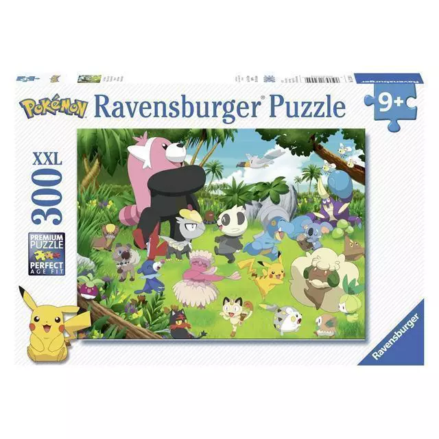 Pokemon Puzzle Pokemon Types Pieces 10113245