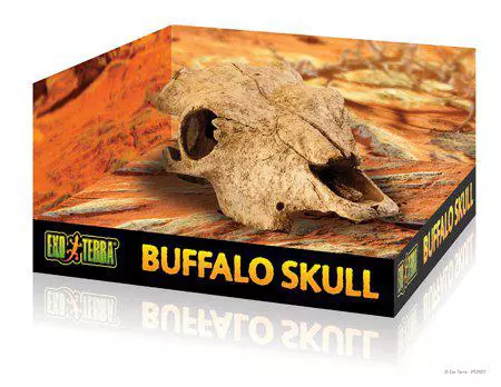 Exoterra Cave Buffalo Skull .2057