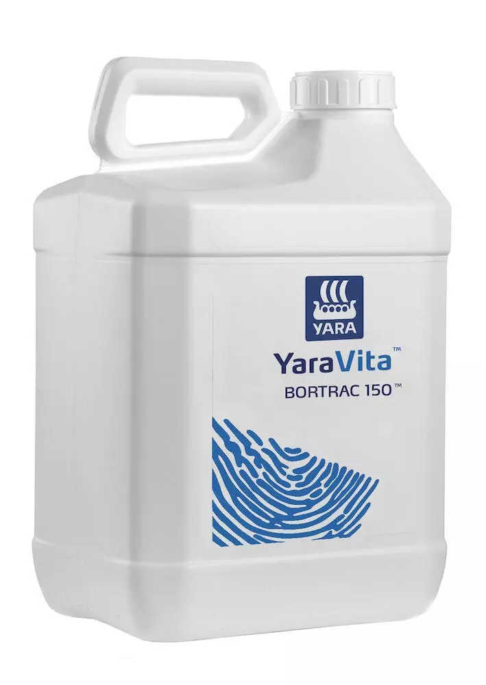 Yaravita Bortrac 150