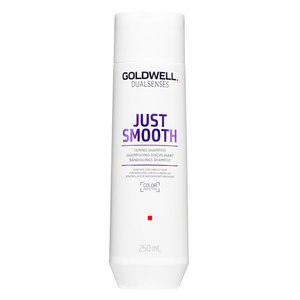 Goldwell Dualsenses Just Smooth Shampoo 
