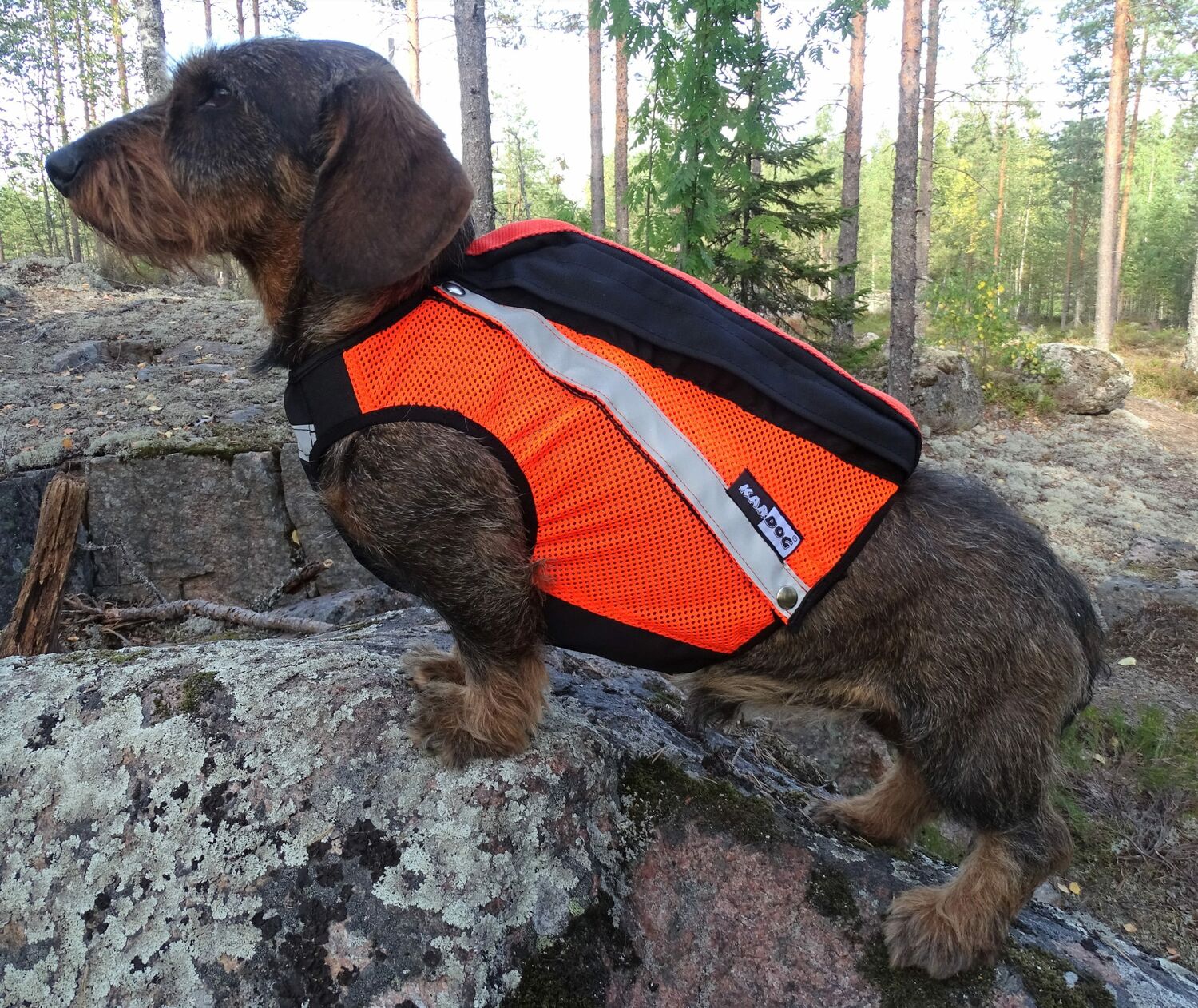 Kardog Uuno Gps-Huomioliivi